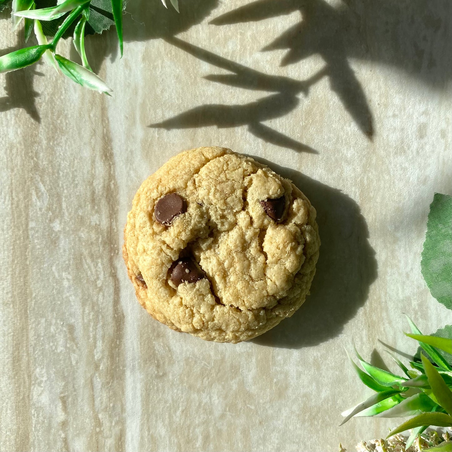 Chocolate Chip Cookies